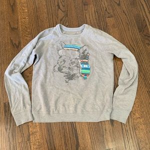 Like new Hollister Sweatshirt Dog Women’s Small